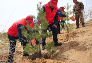China writes new chapters of desertification control