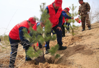 China builds strong ecological barrier with science-based desertification control