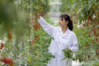 China's Zhejiang province boosts rural revitalization with intelligent agriculture