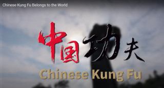 Embrace Chinese Kung Fu, leave it to the next generation