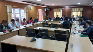 PHC decides to proceed with hearing process of proposed ambassadors