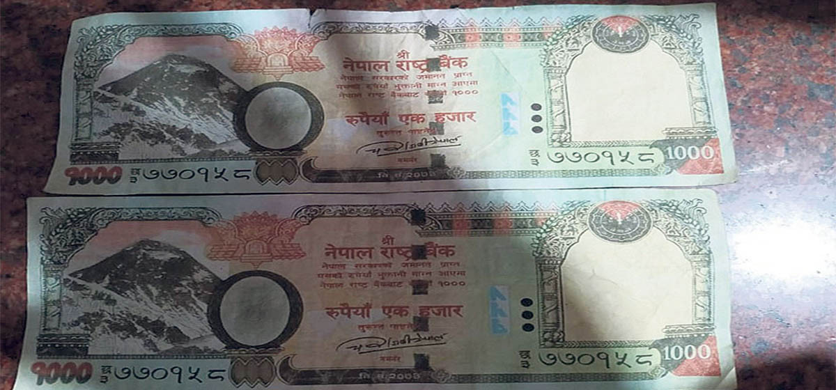 Fake notes amounting to Rs 1.5 mln seized from Bhaktapur; 9 held