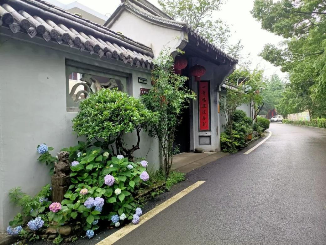 Ningbo advances rural vitalization with "courtyard makeover"