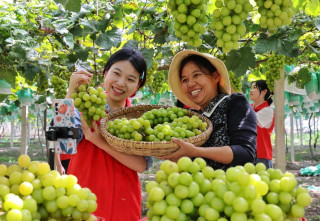 China's economy keeps recovering in first three quarters