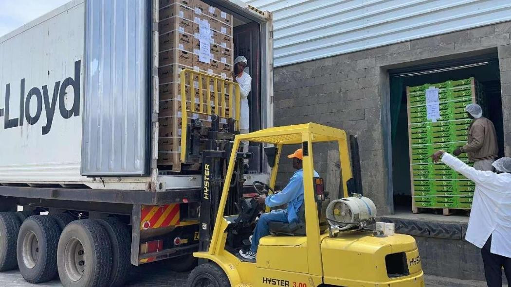 Kenyan avocado finds ready market in China after CIIE debut