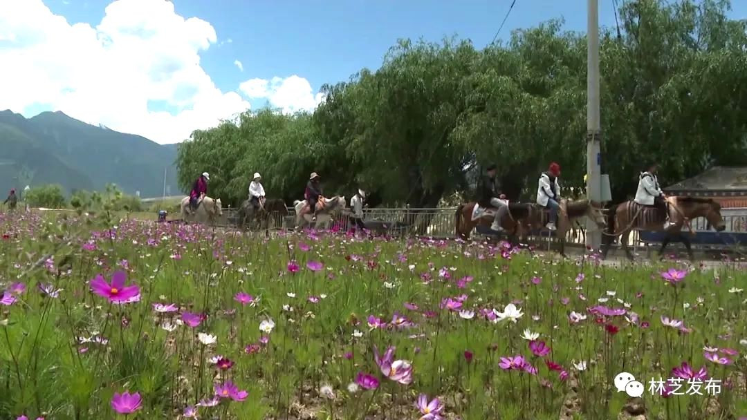 Nyingchi's efforts in wetland conservation