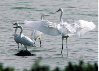Xiamen's Yundang Lake: A Chinese practice of man-nature harmony