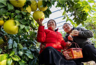 China sets example for international human rights development
