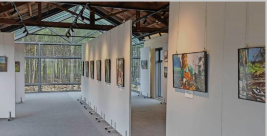 Art contributes to rural development of village in China's Inner Mongolia