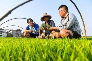 "Science and technology backyards" contributes to agricultural, rural development
