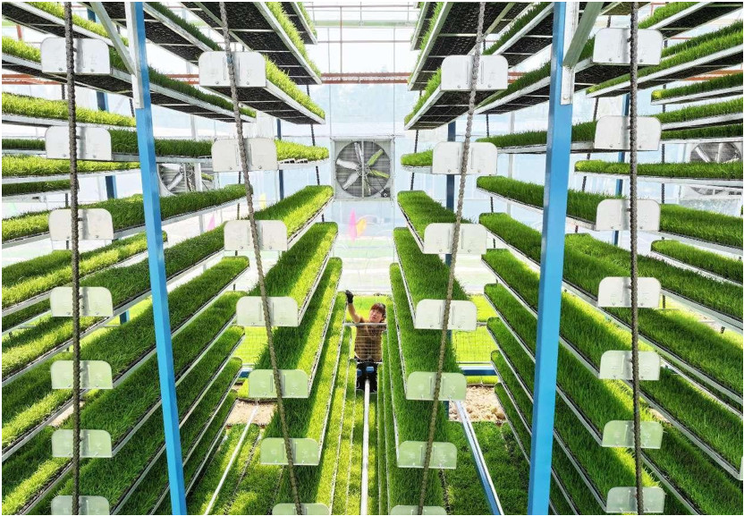 Fujian builds diverse food supply system with all-encompassing approach to food