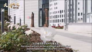 A visit China Cultural center in Belgrade