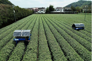 AI industry sees prosperous future in China