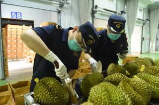 How ASEAN fruits efficiently, conveniently enter China