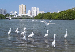 Hainan explores compensation mechanism for better conservation of rainforest
