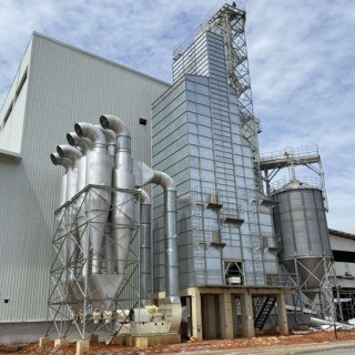 Chinese company contributes to rapid development of cocoa industry in Cote d'Ivoire