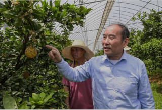 Science and technology backyard projects contribute to China's rural vitalization