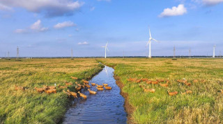 Yancheng making "green generators" with "green electricity"