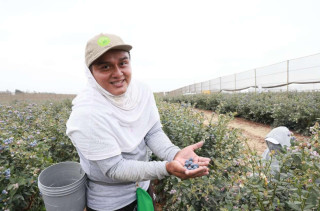 China, Peru reap more development opportunities in strengthened economic, trade exchanges