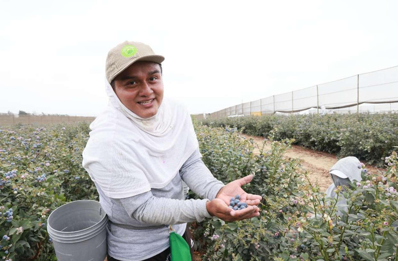 China, Peru reap more development opportunities in strengthened economic, trade exchanges