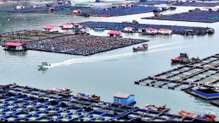 China follows people-centered approach, turns visions into reality