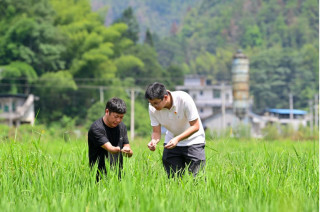China follows targeted strategy in poverty alleviation, eliminates root causes of poverty through development