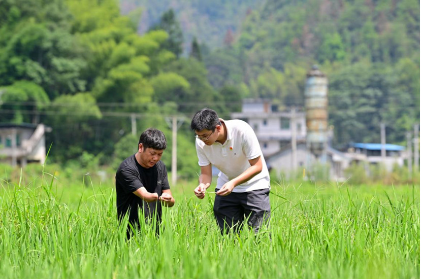 China follows targeted strategy in poverty alleviation, eliminates root causes of poverty through development