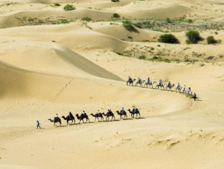 China makes remarkable progress in desertification control and UNCCD fulfillment