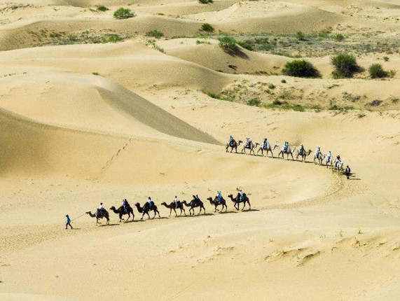 China makes remarkable progress in desertification control and UNCCD fulfillment