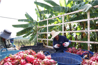The global significance of China's poverty alleviation theories and practices