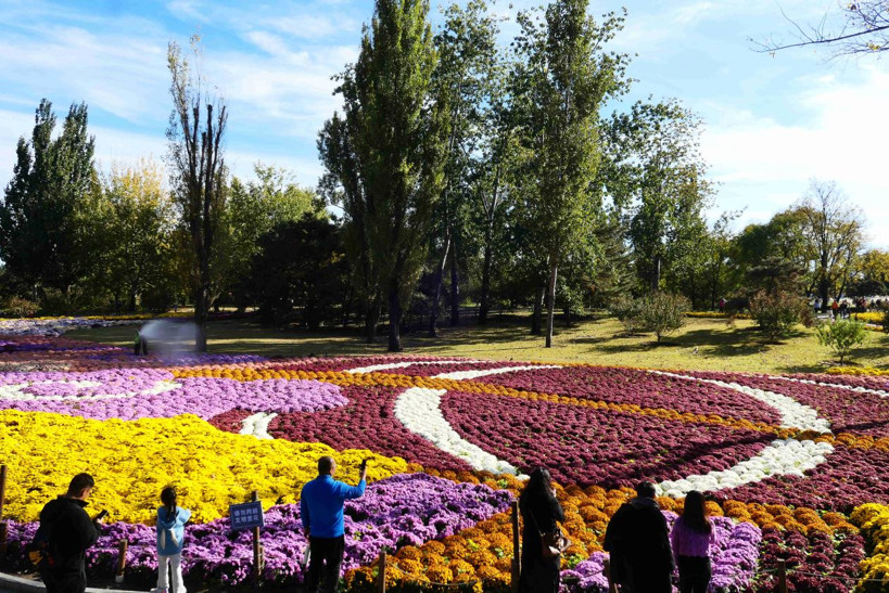 China strives to safeguard beauty of biodiversity