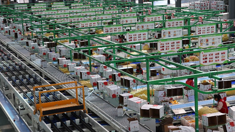 Luochuan apples: a Fruitful path to prosperity