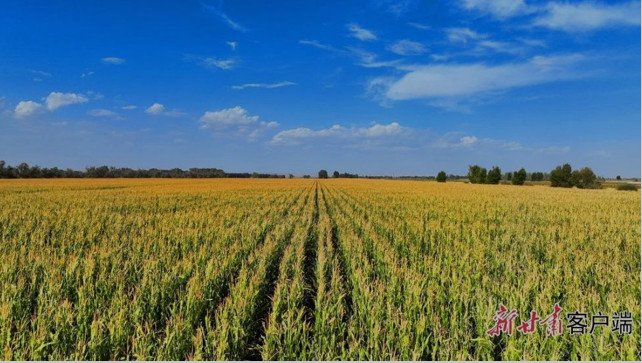 China steps up efforts to build digital twin systems in water conservancy sector