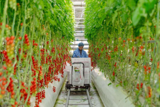 Chinese economy demonstrates precious resilience