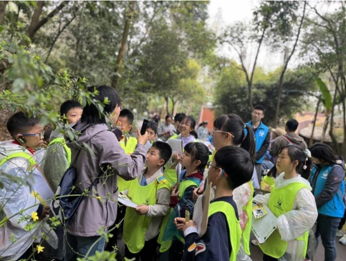 Making giant panda conservation accessible: Chengdu's science education team in action