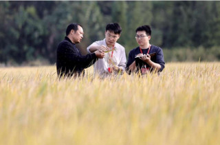 How China's legislature weaves public voices into law