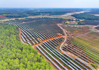China's economic resilience, vitality in four sets of data