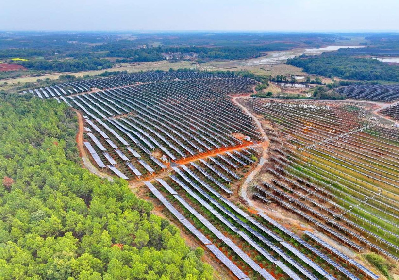 China's economic resilience, vitality in four sets of data