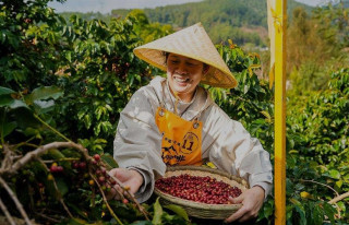 From Yunnan to the world: how China's coffee is rising on the global stage