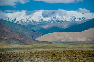 In China's harsh highlands, technology aids conservation efforts