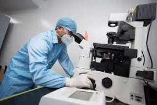 Turning immune cells into cancer's worst enemy: China's CAR-T revolution