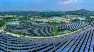 China's green power trading gathers momentum