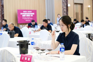 Ningxia's arid plains yield vintage prosperity