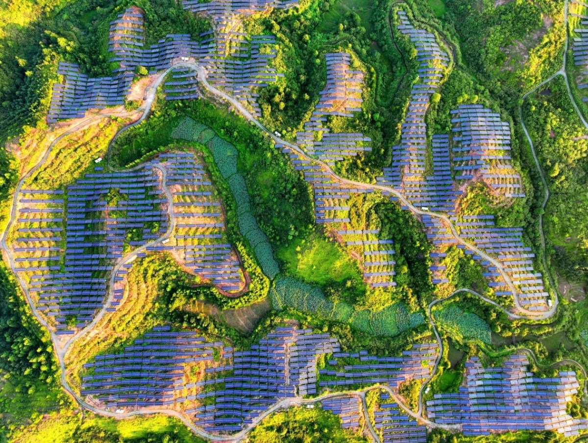 China's role, insights in building clean, beautiful world