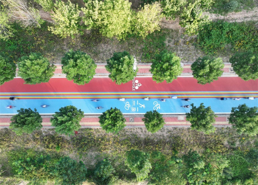 Slow-traffic systems sprouting across China, making cities more livable