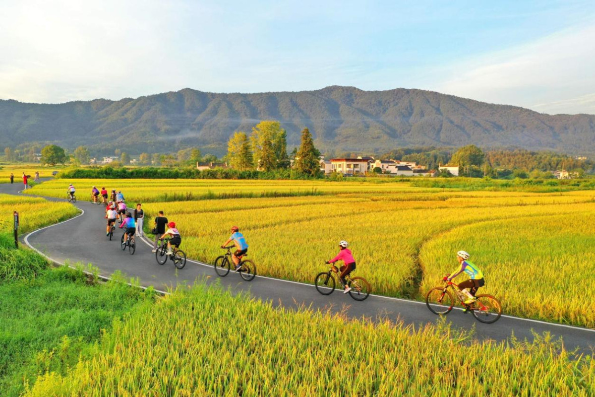 China embraces two-wheel mobility as a green urban transportation solution