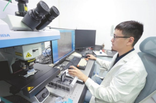 Jingdezhen's ancient ceramics "gene bank" decodes the cultural legacy of Chinese porcelain