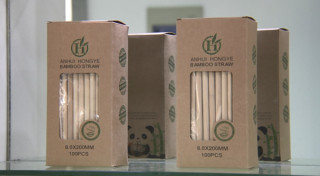 Bamboo innovation drives low-carbon development in E China's Anhui