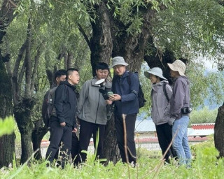Building a 'green ledger' for China's 142.6 billion trees