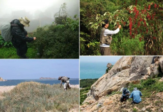 Shanghai seed bank hits 100 million samples in biodiversity conservation push
